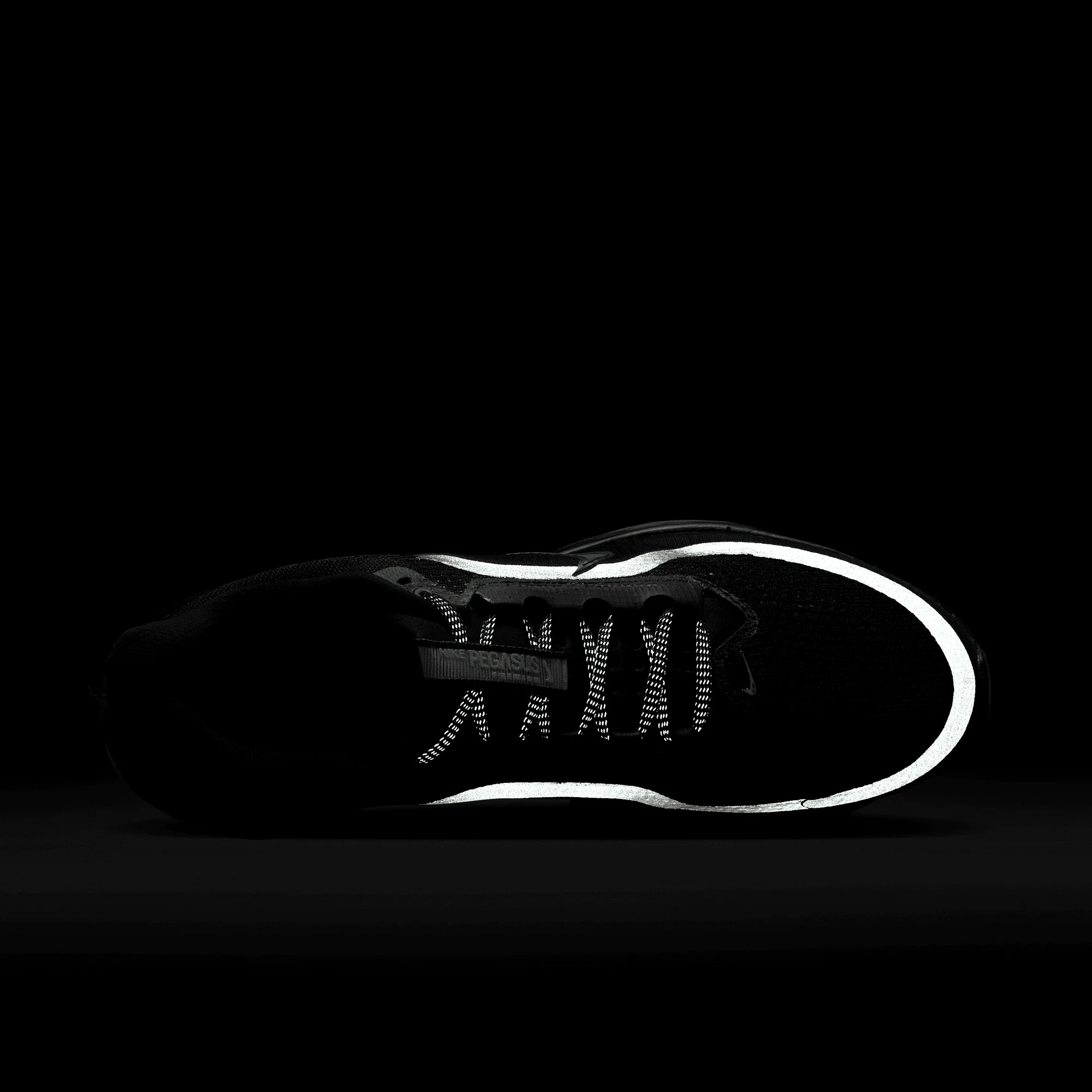 PEGASUS PREMIUM - BLACK / METALLIC SILVER - Image 10