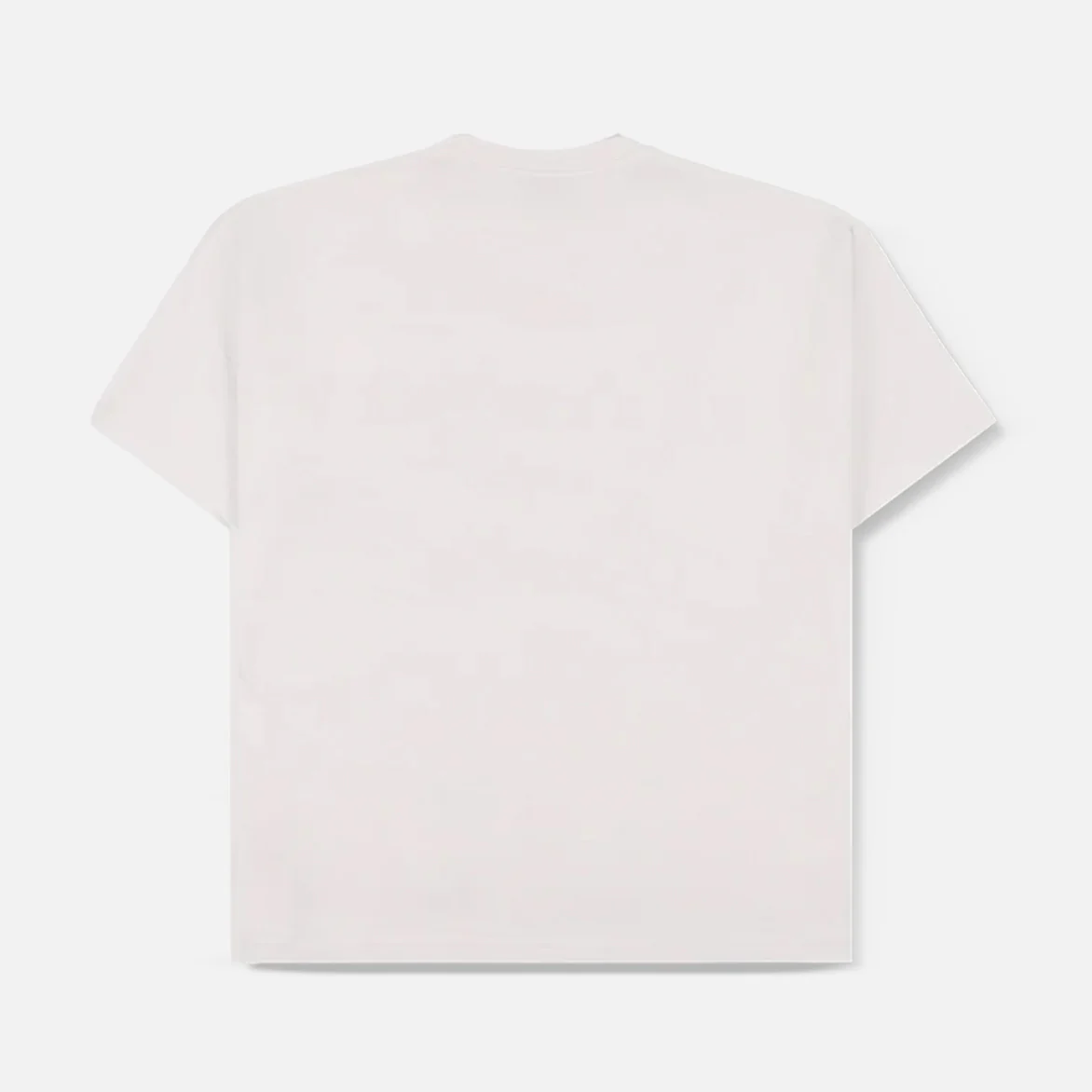 OASIS X PLEASURES NORDIQUE T-SHIRT - VINTAGE WHITE - Image 2